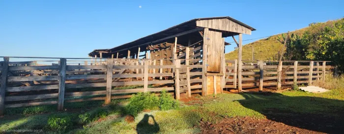 Vendo sitio com 34,7 alqueires para criação de gado 