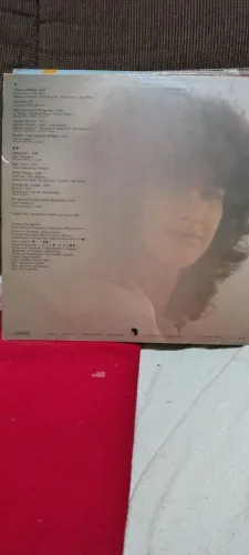 DISCO EM VINIL