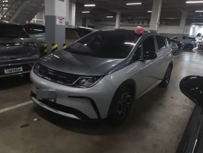 BYD Dolphin Plus (Elétrico) 2025