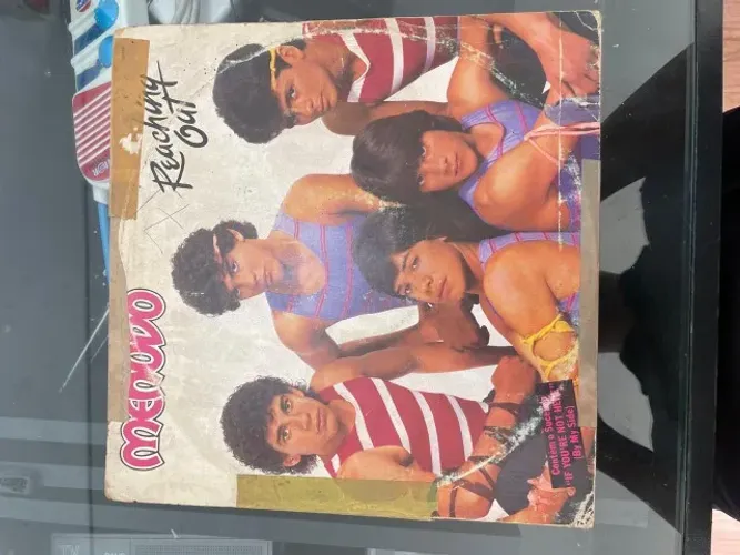 Vinil Menudo