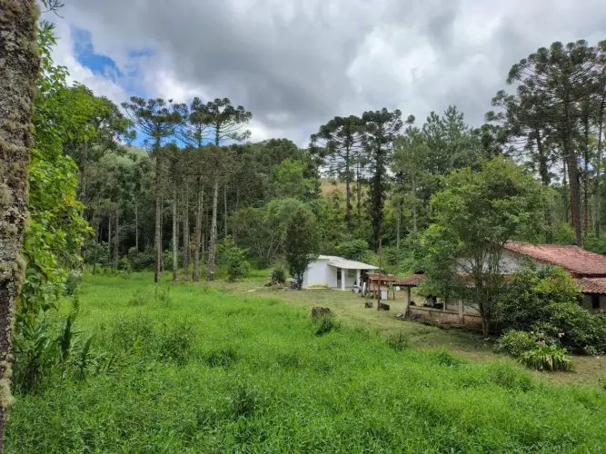 sitio 2.5 alqueires em Joanópolis sp