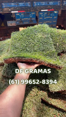 Grama Esmeralda, Batatais, São Carlos.