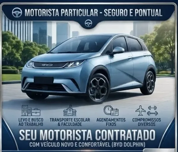 Motorista particular