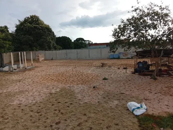 Gramas para plantio e venda