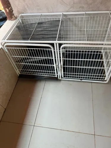 Petshop desativado