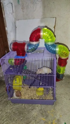 Gaiola super luxo de 3 andares com tubo de passeio