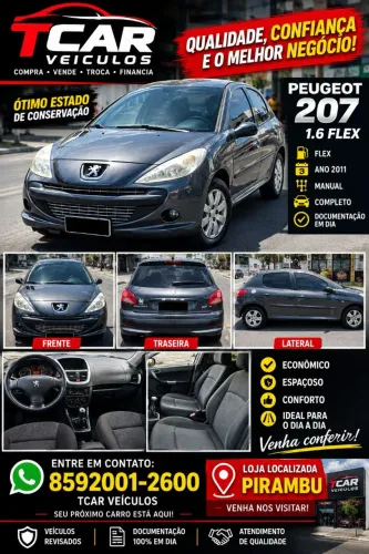 Peugeot 207 XS 1.6 Flex 16V 5P 2009