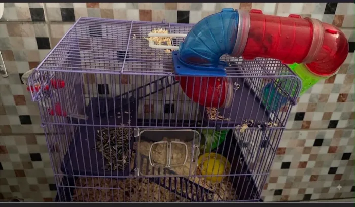 Gaiola para hamster