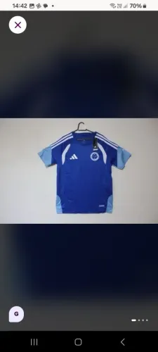 Camisa de time cruzeiro esporte clube de treino ano 2026 tam G