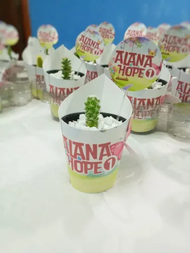 Lindos vasos com cacto e tag PROMOÇÃO R$6,00