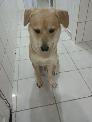 Doação responsável
