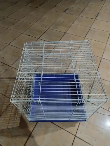 Gaiola