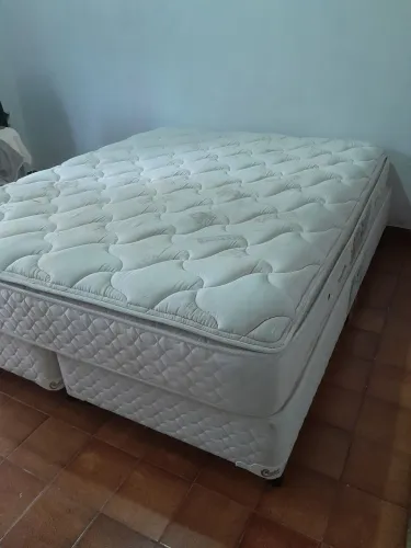 Cama Queen Castor Bambu