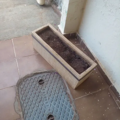 Vaso de planta