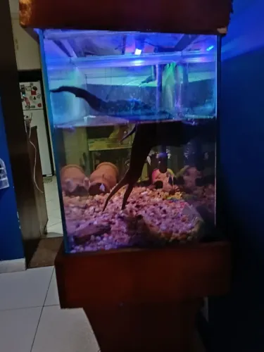 Vendo aquário completo
