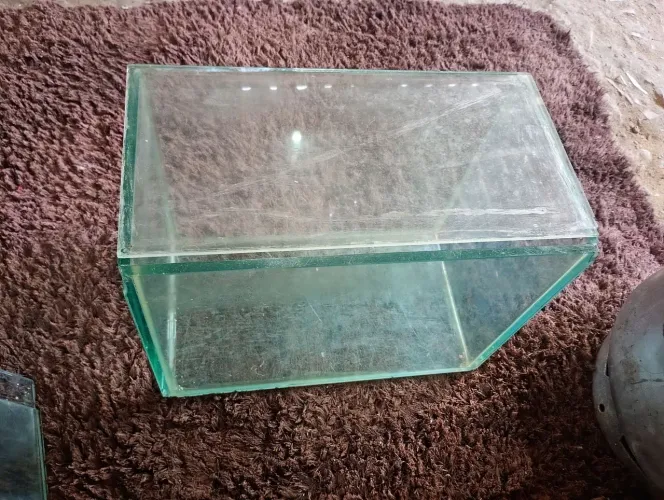 Aquário para peixe 