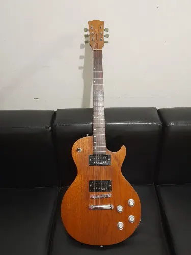 Guitarra Les Paul Luthier Push Push