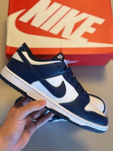 Dunk azul 