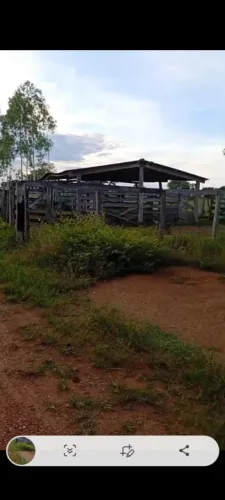 Vende-se Chácara de 10 alqueires no município de Dois Irmãos do Tocantins - To