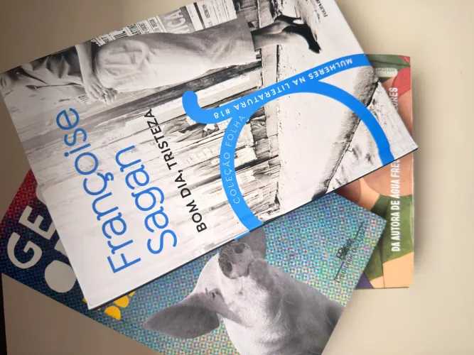 Kit 3 Livros Literatura - George Orwell, Valérie Perrin e Sagan