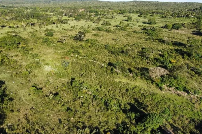 Fazenda yorama