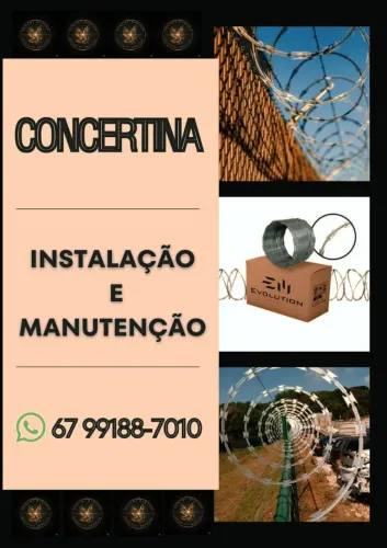 Concertina: Barreira Inviolável para o seu Muro