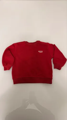 Moleton Zara infantil 18 a 24 meses