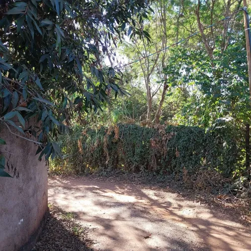 Lote 800m2 Quadra 01 do Park Way, próximo Guará e Núcleo Bandeirante