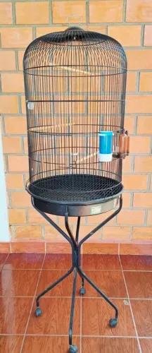 Viveiro tailandês.