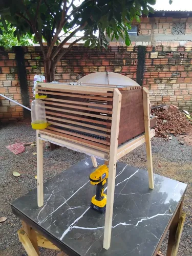 Casinha de codorna 