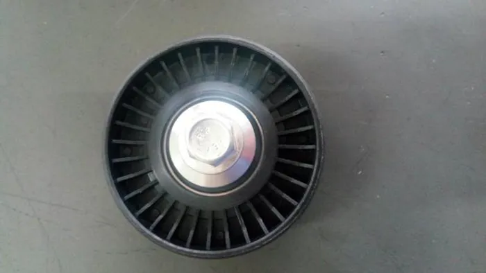 Polia Alternador Picasso 2.0 16 V