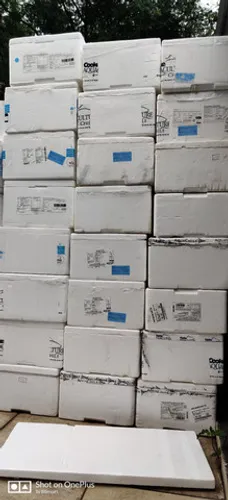 Caixa de isopor Salmão Atum Peixe branco 