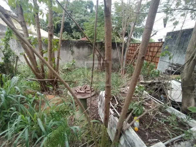 Ilha do Governador - Jardim Guanabara - Terreno - JBI82436