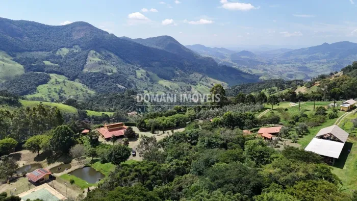 Fazenda com Plantação de Oliveiras e Geléias à Venda na Região de Luminosa - Luminosa/MG
