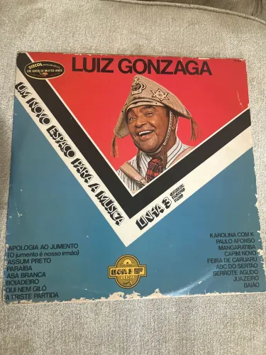 LP - DISCO DE VINIL - LUIZ GONZAGA - sucessos