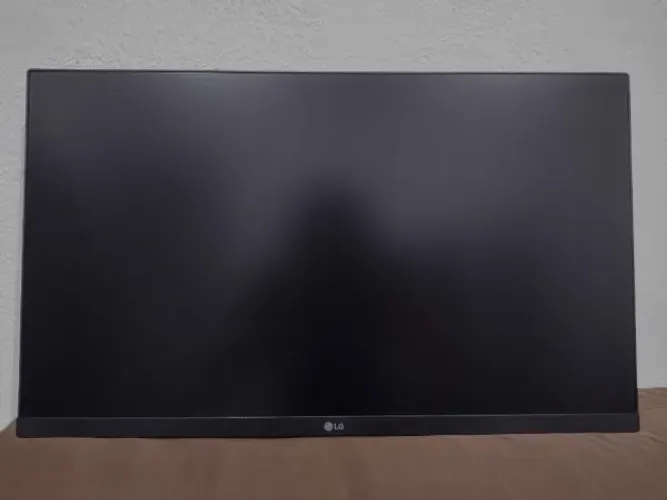 Monitor