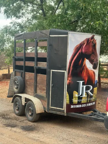 Carretinha de cavalo trucada