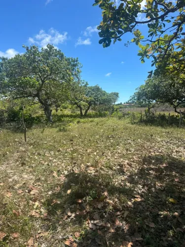 Terreno 500m²(10x50) em Paracuru a 12 min da praia, com energia e documentação completa