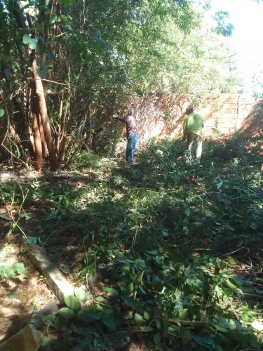 Faço limpeza ja com o caminhão para tirar o entulho