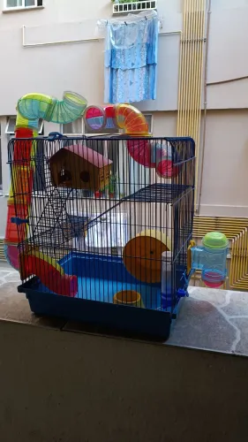 Gaiola de Hamster em bom estado.