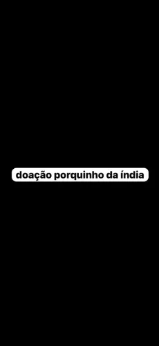 Doação 2 porquinho da índia