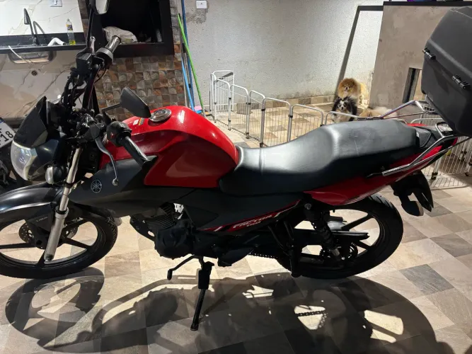 Yamaha YBR Factor 150 ED