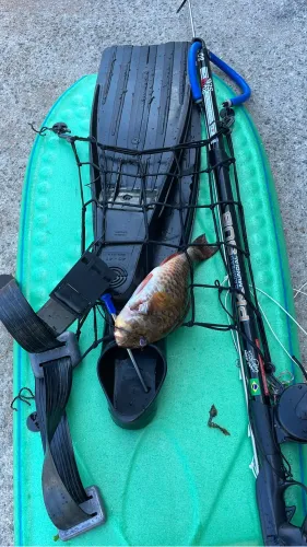 Pesca sub