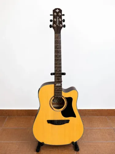 Violão Strinberg