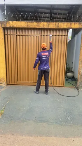 Pintor profissional