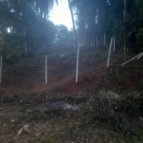 Lotes em mateus leme 