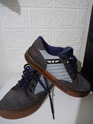 Tenis