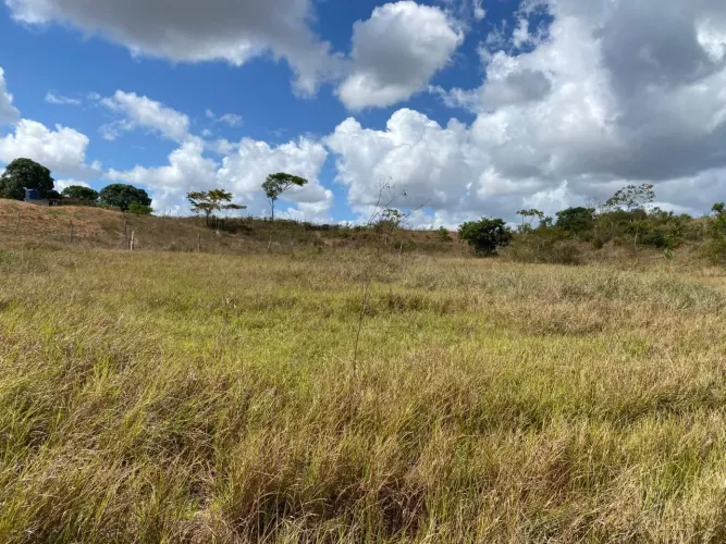 2 Terrenos ( Municipio Salgado )