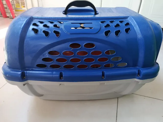 Casinha de cachorro