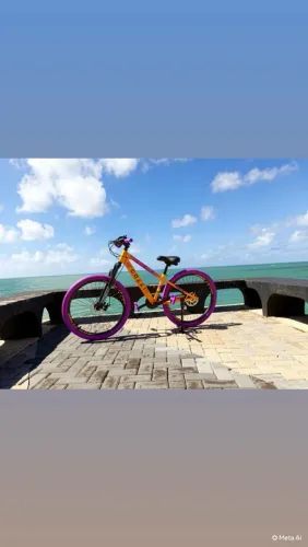 Bike colli grau aro 26 